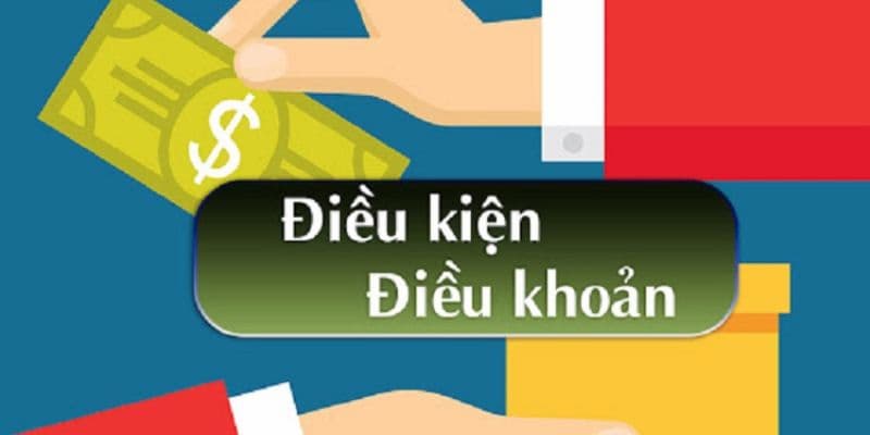 Các quy định cụ thể thường gặp trong điều khoản người dùng